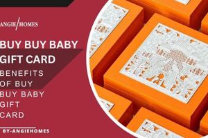 Check Your buy buy baby Gift Card Balance: What Now? Safem Fabrication - Precision Engineering & Custom Manufacturing Solutions Check Your buy buy baby Gift Card Balance: What Now? | Safem Fabrication - Precision Engineering & Custom Manufacturing Solutions