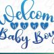 Celebrating Welcome Home Baby Boy: Joyous Arrival Tips | Baby Care 101: Essential Tips for Happy, Healthy Babies