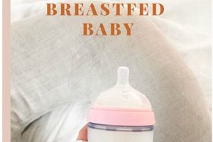Bottle Intro: When to Introduce Bottle to Breastfed Baby Tips Safem Fabrication - Precision Engineering & Custom Manufacturing Solutions Bottle Intro: When to Introduce Bottle to Breastfed Baby Tips | Safem Fabrication - Precision Engineering & Custom Manufacturing Solutions