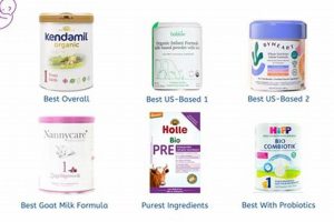 Best Seed Oil Free Baby Formula: Safe & Healthy Safem Fabrication - Precision Engineering & Custom Manufacturing Solutions Best Seed Oil Free Baby Formula: Safe & Healthy | Safem Fabrication - Precision Engineering & Custom Manufacturing Solutions