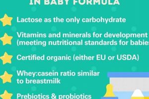 Top Cleanest Baby Formula Brands: Expert Guide Safem Fabrication - Precision Engineering & Custom Manufacturing Solutions Top Cleanest Baby Formula Brands: Expert Guide | Safem Fabrication - Precision Engineering & Custom Manufacturing Solutions