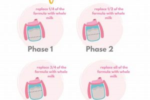 Formula to Food: How to Wean Baby Off Formula Safely Safem Fabrication - Precision Engineering & Custom Manufacturing Solutions Formula to Food: How to Wean Baby Off Formula Safely | Safem Fabrication - Precision Engineering & Custom Manufacturing Solutions