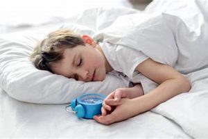 Baby Sleep: When Can Babies Sleep with a Pillow Safely? Safem Fabrication - Precision Engineering & Custom Manufacturing Solutions Baby Sleep: When Can Babies Sleep with a Pillow Safely? | Safem Fabrication - Precision Engineering & Custom Manufacturing Solutions