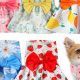 Comfy Dog Baby Clothes: Adorable &amp; Safe Outfits | Baby Care 101: Essential Tips for Happy, Healthy Babies