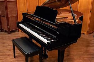 Find Your Dream: Baby Grand Piano for Sale Near You Baby Care 101: Essential Tips for Happy, Healthy Babies Find Your Dream: Baby Grand Piano for Sale Near You | Baby Care 101: Essential Tips for Happy, Healthy Babies