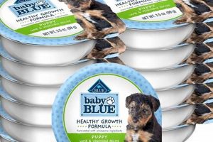 Best Baby Blue Puppy Food: Nourish & Thrive Safem Fabrication - Precision Engineering & Custom Manufacturing Solutions Best Baby Blue Puppy Food: Nourish & Thrive | Safem Fabrication - Precision Engineering & Custom Manufacturing Solutions