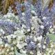 Beyond Beauty: Lavender & Baby's Breath Floral Magic | Baby Care 101: Essential Tips for Happy, Healthy Babies