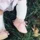 Cute Baby Girl Knee High Socks: Styles & Comfort | Baby Care 101: Essential Tips for Happy, Healthy Babies