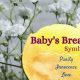Flower Meaning: Baby's Breath Meaning & Symbolism | Baby Care 101: Essential Tips for Happy, Healthy Babies