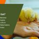 Guide: Best Food for Baby Chicks (Nutrition Tips) | Baby Care 101: Essential Tips for Happy, Healthy Babies