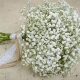 Baby's Breath Prices: How Much Does It Cost? Tips! | Baby Care 101: Essential Tips for Happy, Healthy Babies