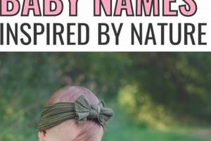 Enchanting Whimsical Nature Baby Names! Safem Fabrication - Precision Engineering & Custom Manufacturing Solutions Enchanting Whimsical Nature Baby Names! | Safem Fabrication - Precision Engineering & Custom Manufacturing Solutions