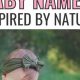 Enchanting Whimsical Nature Baby Names! | Baby Care 101: Essential Tips for Happy, Healthy Babies