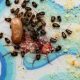 Identify Baby Roaches: Prevention & Control Tips | Baby Care 101: Essential Tips for Happy, Healthy Babies