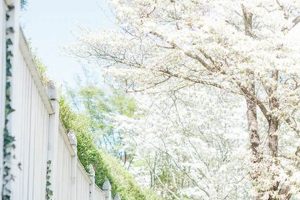 Best Baby Shower Venues Raleigh NC: Prices & More! Baby Care 101: Essential Tips for Happy, Healthy Babies Best Baby Shower Venues Raleigh NC: Prices & More! | Baby Care 101: Essential Tips for Happy, Healthy Babies