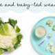 Easy Cauliflower Baby Food Recipes: Healthy &amp; Delicious! | Baby Care 101: Essential Tips for Happy, Healthy Babies