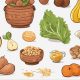 Best Fiber Rich Foods for Babies: A Nutritional Guide! | Baby Care 101: Essential Tips for Happy, Healthy Babies