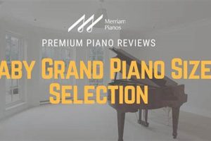 Baby Grand for One: Solo Practice & Intimate Music Safem Fabrication - Precision Engineering & Custom Manufacturing Solutions Baby Grand for One: Solo Practice & Intimate Music | Safem Fabrication - Precision Engineering & Custom Manufacturing Solutions