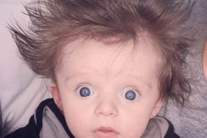 Tiny Baby Cone: Growth & Care Tips for Conifers Safem Fabrication - Precision Engineering & Custom Manufacturing Solutions Tiny Baby Cone: Growth & Care Tips for Conifers | Safem Fabrication - Precision Engineering & Custom Manufacturing Solutions