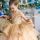 Sparkling Gold Baby Dress: Styles & More | Baby Care 101: Essential Tips for Happy, Healthy Babies