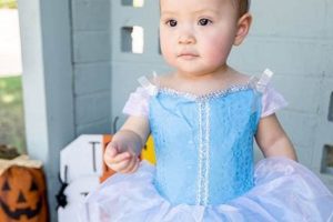 Shop Cute Baby Cinderella Costume Outfit: Sparkle & Play! Safem Fabrication - Precision Engineering & Custom Manufacturing Solutions Shop Cute Baby Cinderella Costume Outfit: Sparkle & Play! | Safem Fabrication - Precision Engineering & Custom Manufacturing Solutions