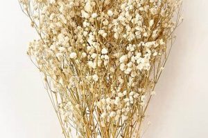 Buy Dry Baby's Breath: Airy & Long-Lasting Decor Safem Fabrication - Precision Engineering & Custom Manufacturing Solutions Buy Dry Baby's Breath: Airy & Long-Lasting Decor | Safem Fabrication - Precision Engineering & Custom Manufacturing Solutions