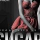 Guide to Sugar Baby Book: Best Reads + More | Baby Care 101: Essential Tips for Happy, Healthy Babies