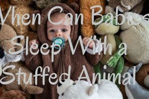 Safe Sleep: When Can Babies Sleep with a Stuffed Animal? Guide Safem Fabrication - Precision Engineering & Custom Manufacturing Solutions Safe Sleep: When Can Babies Sleep with a Stuffed Animal? Guide | Safem Fabrication - Precision Engineering & Custom Manufacturing Solutions