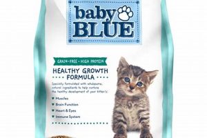 Best Baby Blue Kitten Food for Happy, Healthy Kittens! Safem Fabrication - Precision Engineering & Custom Manufacturing Solutions Best Baby Blue Kitten Food for Happy, Healthy Kittens! | Safem Fabrication - Precision Engineering & Custom Manufacturing Solutions