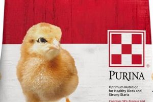 Best Baby Chick Food: Healthy Chicks Start Here! Safem Fabrication - Precision Engineering & Custom Manufacturing Solutions Best Baby Chick Food: Healthy Chicks Start Here! | Safem Fabrication - Precision Engineering & Custom Manufacturing Solutions