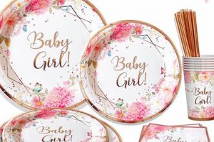 Best Baby Shower Plates: Ideas & Themes for Your Show! Safem Fabrication - Precision Engineering & Custom Manufacturing Solutions Best Baby Shower Plates: Ideas & Themes for Your Show! | Safem Fabrication - Precision Engineering & Custom Manufacturing Solutions