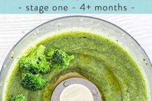 Best Broccoli Baby Food Recipes: Benefits & Prep Tips! Safem Fabrication - Precision Engineering & Custom Manufacturing Solutions Best Broccoli Baby Food Recipes: Benefits & Prep Tips! | Safem Fabrication - Precision Engineering & Custom Manufacturing Solutions
