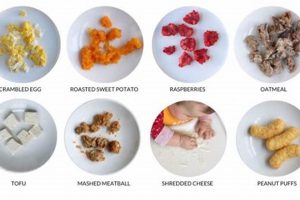 Best Mushy Food for Babies: First Foods Guide Safem Fabrication - Precision Engineering & Custom Manufacturing Solutions Best Mushy Food for Babies: First Foods Guide | Safem Fabrication - Precision Engineering & Custom Manufacturing Solutions