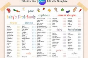 Easy Baby Food Checklist Guide: Make Feeding a Breeze! Safem Fabrication - Precision Engineering & Custom Manufacturing Solutions Easy Baby Food Checklist Guide: Make Feeding a Breeze! | Safem Fabrication - Precision Engineering & Custom Manufacturing Solutions
