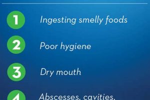 Is Baby Bad Breath at 6 Months Normal? Causes & Cures Safem Fabrication - Precision Engineering & Custom Manufacturing Solutions Is Baby Bad Breath at 6 Months Normal? Causes & Cures | Safem Fabrication - Precision Engineering & Custom Manufacturing Solutions