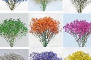 Exploring Baby's Breath Colors: Types & Meanings Safem Fabrication - Precision Engineering & Custom Manufacturing Solutions Exploring Baby's Breath Colors: Types & Meanings | Safem Fabrication - Precision Engineering & Custom Manufacturing Solutions