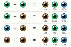 New Baby? Predict Eye Color: Baby Eye Color Calculator Fun Safem Fabrication - Precision Engineering & Custom Manufacturing Solutions New Baby? Predict Eye Color: Baby Eye Color Calculator Fun | Safem Fabrication - Precision Engineering & Custom Manufacturing Solutions