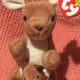 Collectible Pouch Beanie Baby: Value &amp; Guide [2024] | Baby Care 101: Essential Tips for Happy, Healthy Babies