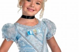 Dreamy Disney Cinderella Costume for Baby - & Beyond! Safem Fabrication - Precision Engineering & Custom Manufacturing Solutions Dreamy Disney Cinderella Costume for Baby - & Beyond! | Safem Fabrication - Precision Engineering & Custom Manufacturing Solutions
