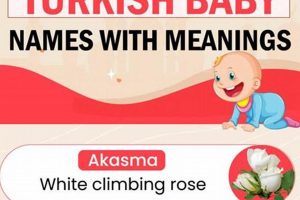 Unique Turkish Baby Names: Origins & Meanings Baby Care 101: Essential Tips for Happy, Healthy Babies Unique Turkish Baby Names: Origins & Meanings | Baby Care 101: Essential Tips for Happy, Healthy Babies