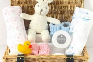 Best Baby Hampers: Gifts & Bundles for New Arrivals Baby Care 101: Essential Tips for Happy, Healthy Babies Best Baby Hampers: Gifts & Bundles for New Arrivals | Baby Care 101: Essential Tips for Happy, Healthy Babies