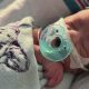 Georgia's First Baby: 2025's Newest Arrival and Beyond | Baby Care 101: Essential Tips for Happy, Healthy Babies