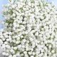 Buy Realistic Silk Baby's Breath Flowers | [Your Brand] | Baby Care 101: Essential Tips for Happy, Healthy Babies