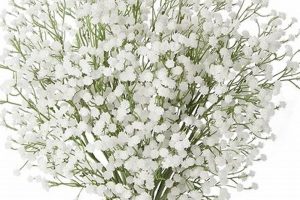Shop Our Faux Baby's Breath Bulk Supply - Now On Sale! Safem Fabrication - Precision Engineering & Custom Manufacturing Solutions Shop Our Faux Baby's Breath Bulk Supply - Now On Sale! | Safem Fabrication - Precision Engineering & Custom Manufacturing Solutions