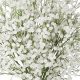 Shop Our Faux Baby's Breath Bulk Supply - Now On Sale! | Baby Care 101: Essential Tips for Happy, Healthy Babies