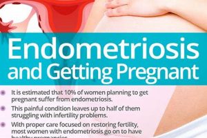 After Babies: Can You Get Endometriosis Postpartum? Baby Care 101: Essential Tips for Happy, Healthy Babies After Babies: Can You Get Endometriosis Postpartum? | Baby Care 101: Essential Tips for Happy, Healthy Babies