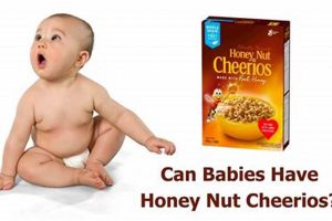 Baby's First Cereal? Can Babies Have Honey Nut Cheerios? Baby Care 101: Essential Tips for Happy, Healthy Babies Baby's First Cereal? Can Babies Have Honey Nut Cheerios? | Baby Care 101: Essential Tips for Happy, Healthy Babies