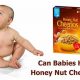 Baby's First Cereal? Can Babies Have Honey Nut Cheerios? | Baby Care 101: Essential Tips for Happy, Healthy Babies