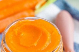 Easy Carrot Baby Food: Recipes &amp; Guide [2024] | Baby Care 101: Essential Tips for Happy, Healthy Babies