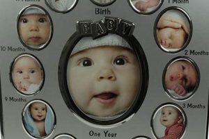 Cherished Baby's First Picture: Moments to Last Forever Baby Care 101: Essential Tips for Happy, Healthy Babies Cherished Baby's First Picture: Moments to Last Forever | Baby Care 101: Essential Tips for Happy, Healthy Babies